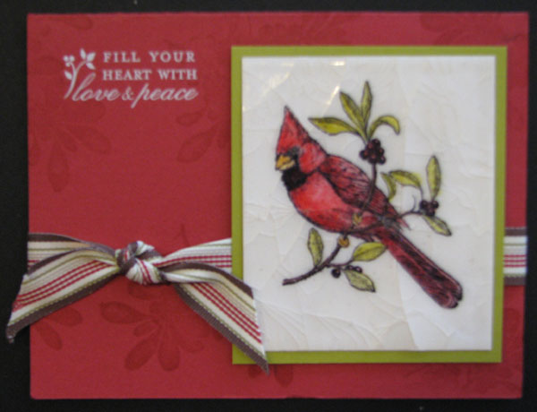 cardnal-cracked-glass