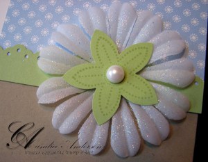 feb-smile-flower-close-up