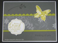 thinking-of-you-butterfly