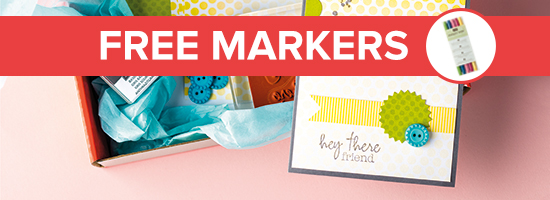 demoheader_paperpumpkin_demo_1.11-1.27.2014_US_CA