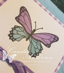 Butterfly stamped with solid image