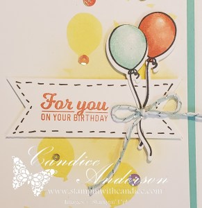 Sneak Peak of the Blow Out the Candles Class