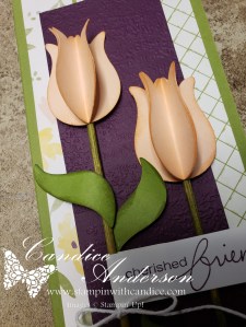 Same design - three different stamp sets.  See how I created uniquely different cards all based on the same layout.