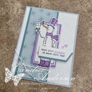 A winter birthday card featuring a cheerful snowman wearing a purple hat and scarf, holding a small bird. The card uses soft pastel colors and includes the sentiment 'hope your Birthday is snow much fun!' against a textured background with snowflakes.