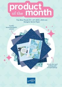 Promotional graphic for the 'Product of the Month' featuring blue patterned designer paper suitable for card making and scrapbooking.